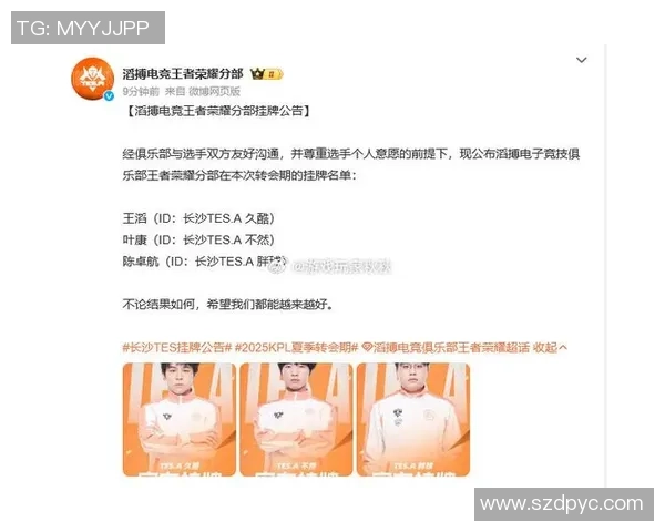 王者荣耀巨献：深入分析TES战队当前状态与未来展望